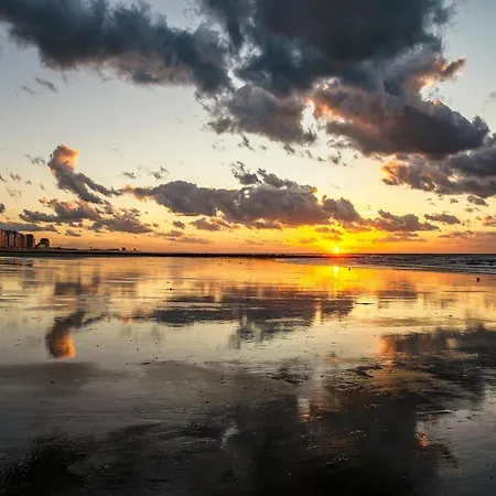 In Near & Casino * ميدل كيرك